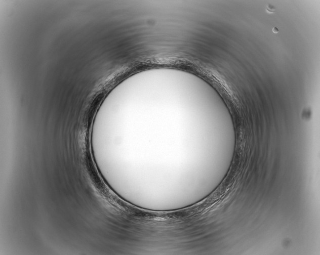 X0000099560542200805160753