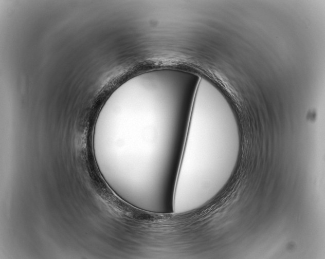 X0000099560543200805160753