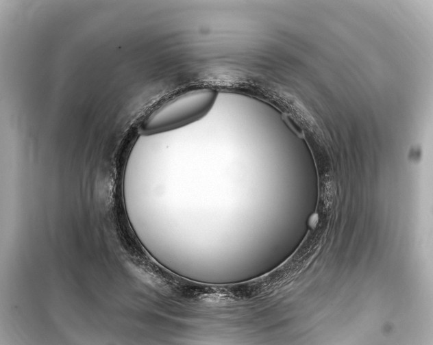 X0000099560544200805160753