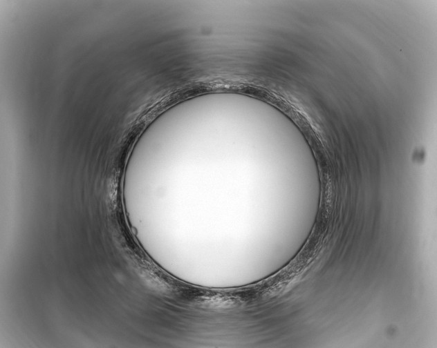 X0000099560545200805160753