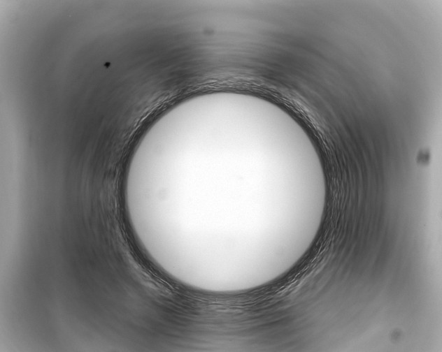 X0000099560546200805160753