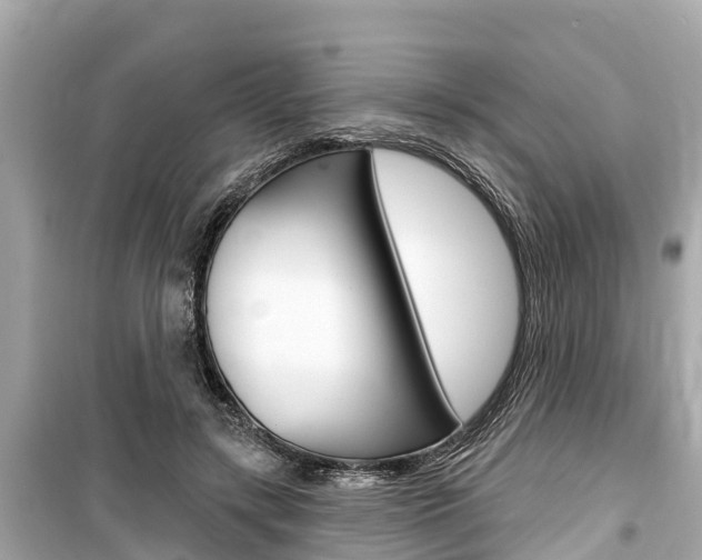 X0000099560547200805160753