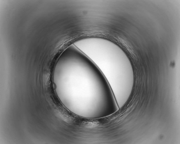 X0000099560548200805160753