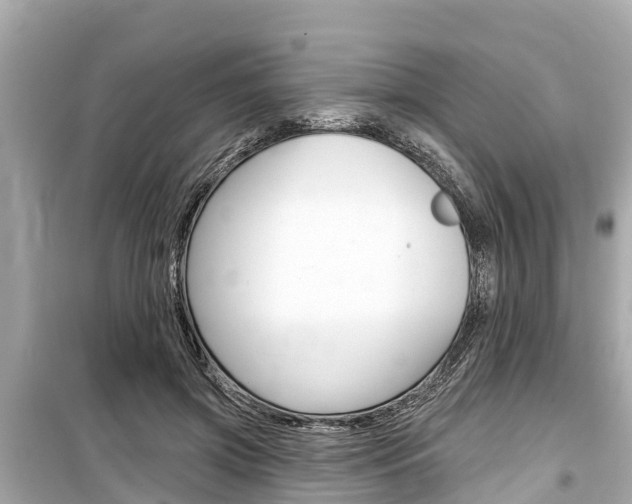 X0000099560549200805160753