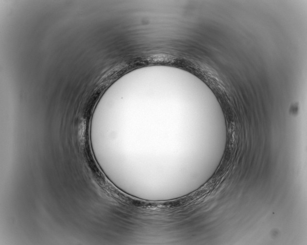 X0000099560550200805160753