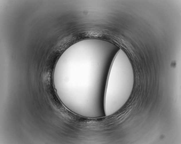 X0000099560551200805160753