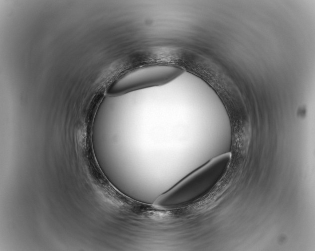 X0000099560552200805160753