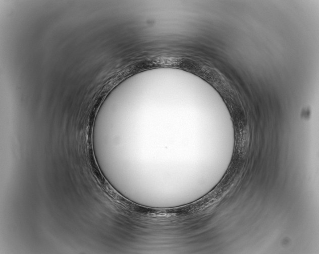 X0000099560553200805160753