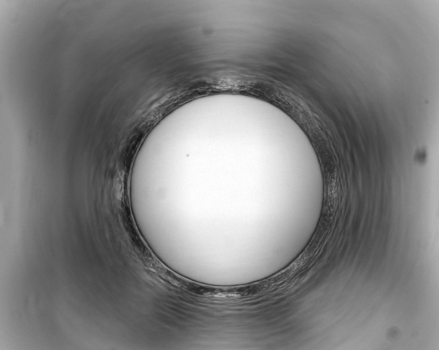 X0000099560554200805160753