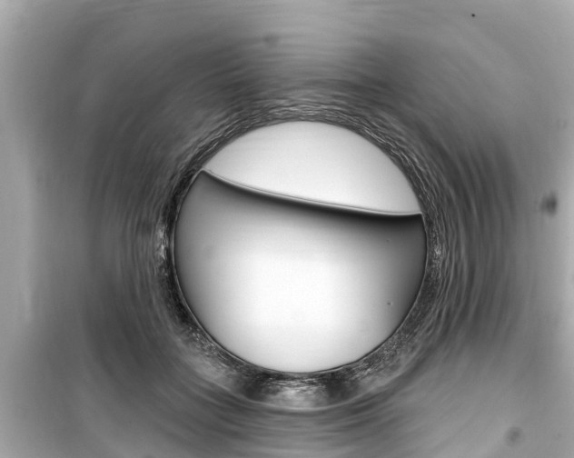 X0000099560555200805160753