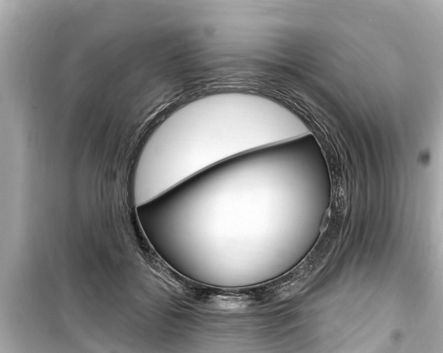 X0000099560556200805160753