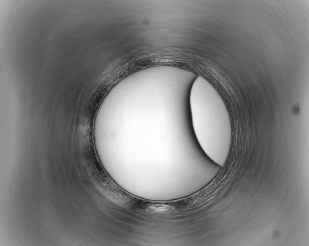 X0000099560557200805160753