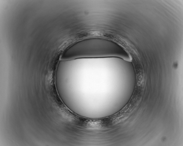 X0000099560560200805160753