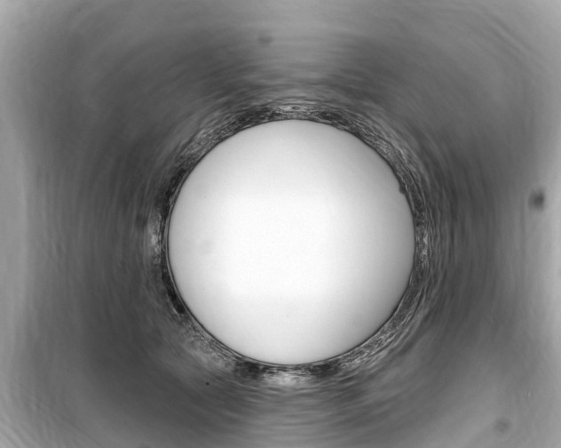 X0000099560561200805160753