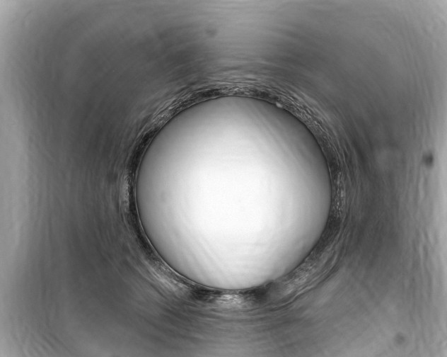 X0000099560562200805160753