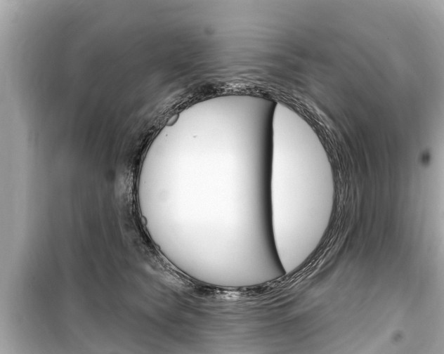 X0000099560565200805160753