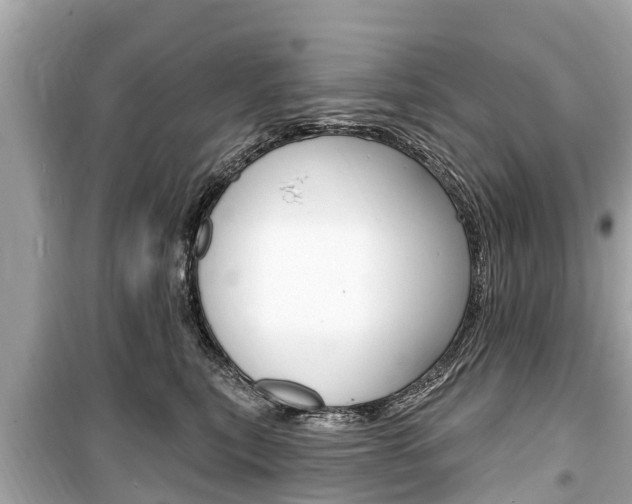 X0000099560567200805160753
