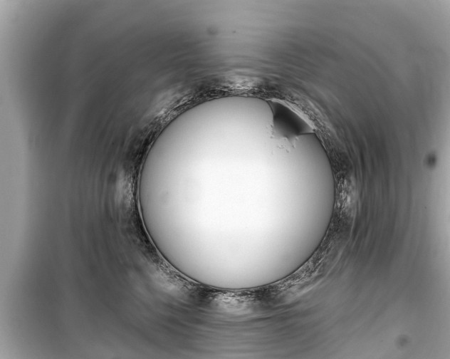 X0000099560568200805160753
