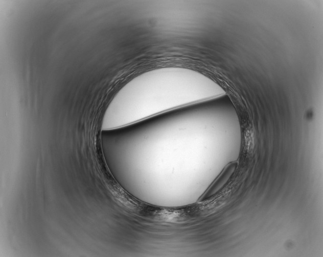 X0000099560570200805160753
