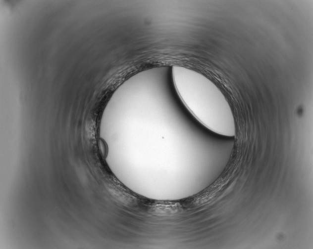 X0000099560571200805160753
