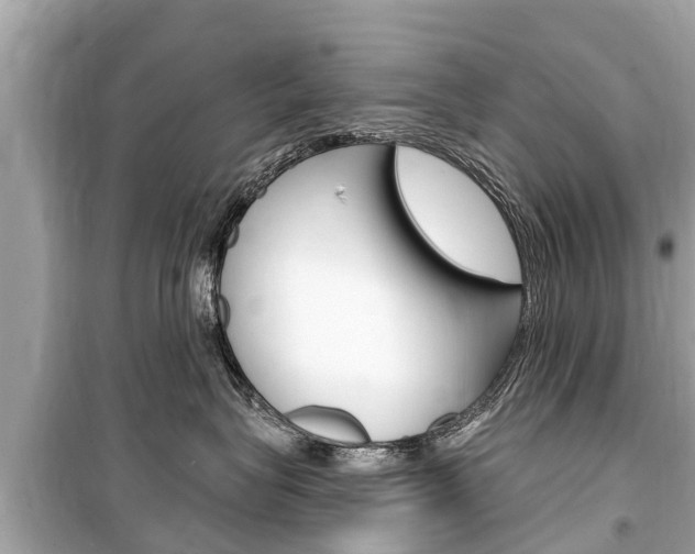 X0000099560575200805160753