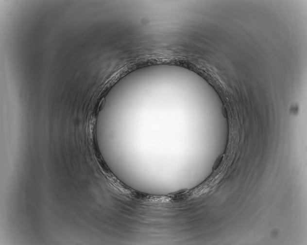 X0000099560576200805160753
