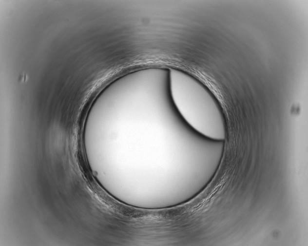 X0000099560578200805160752