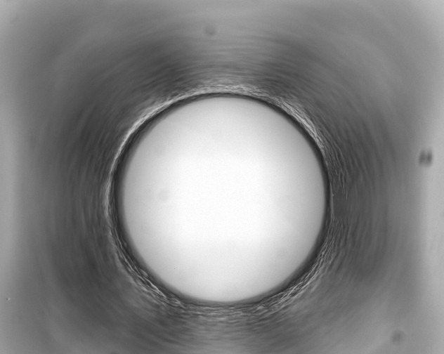 X0000099560579200805160752