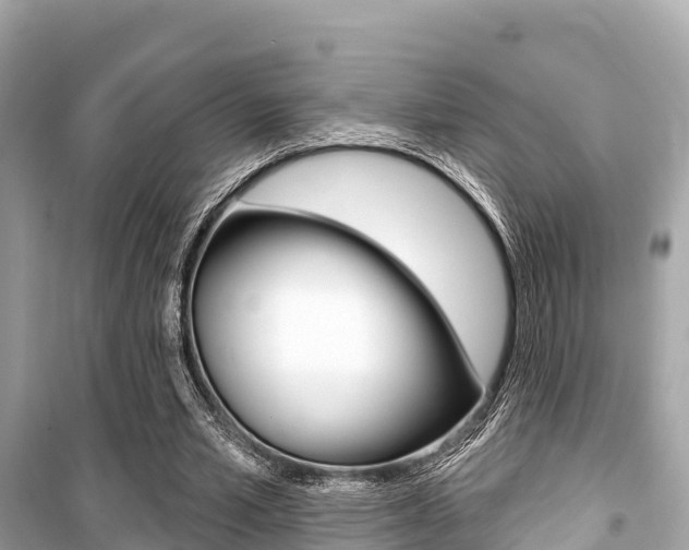 X0000099560581200805160752