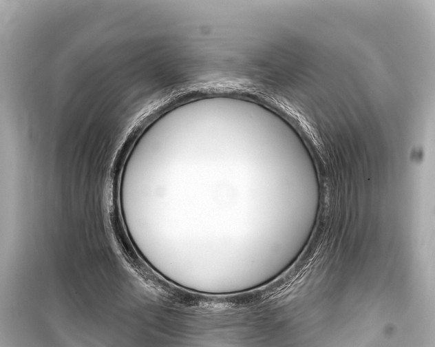 X0000099560582200805160752