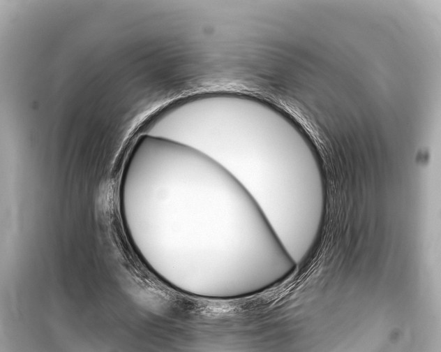 X0000099560583200805160752
