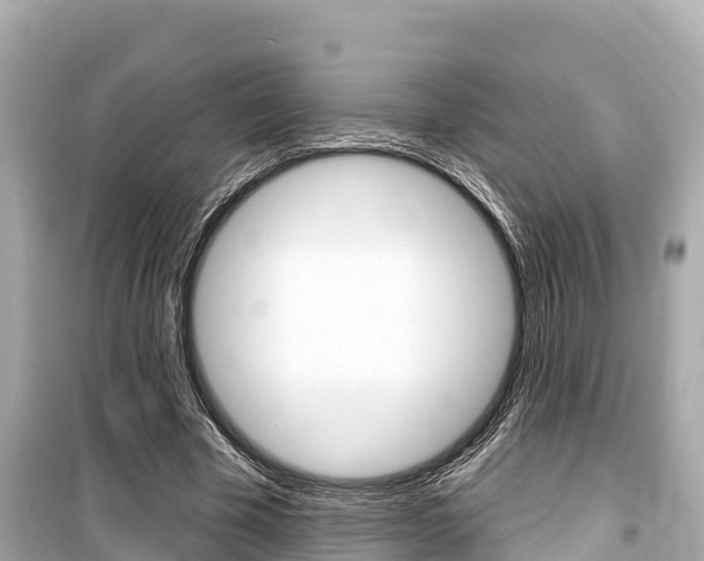X0000099560585200805160752