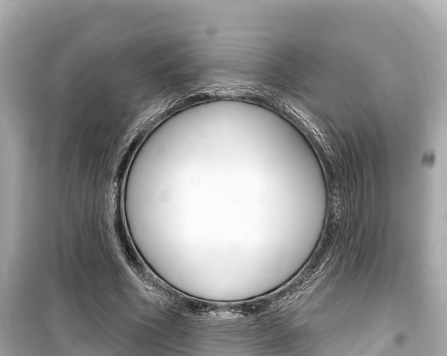 X0000099560586200805160752
