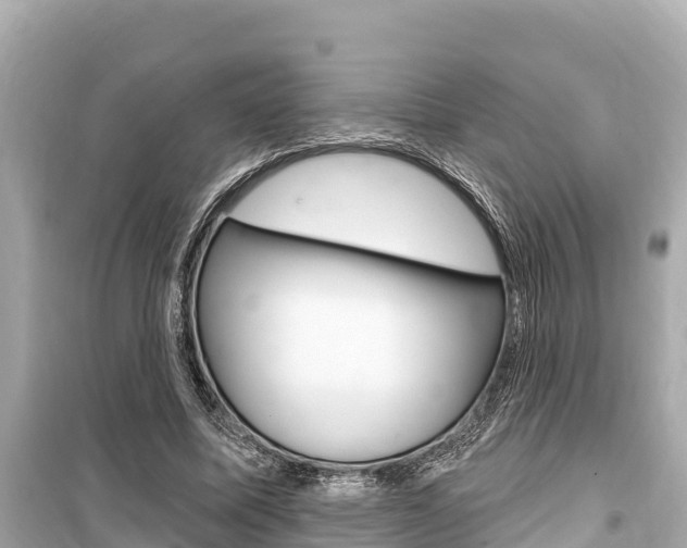 X0000099560587200805160752