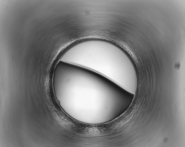 X0000099560588200805160752