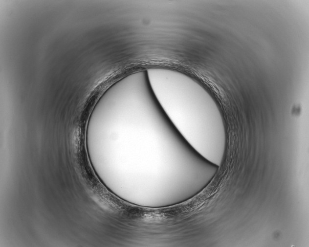 X0000099560591200805160752
