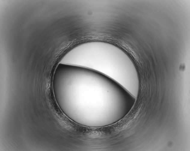 X0000099560593200805160752