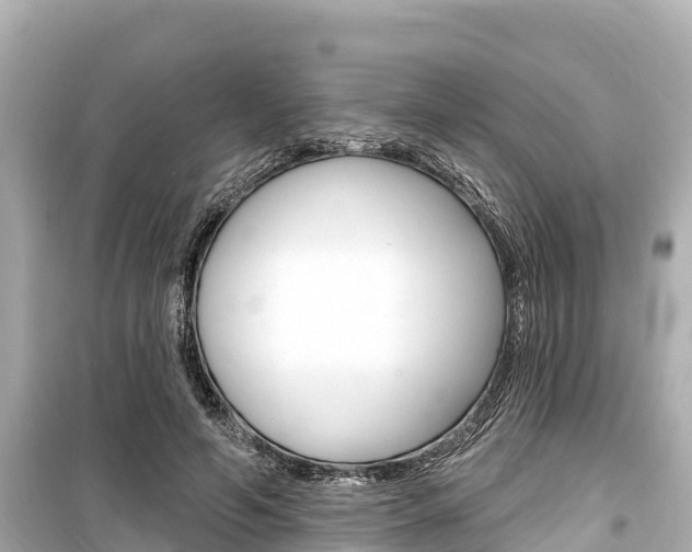 X0000099560594200805160752
