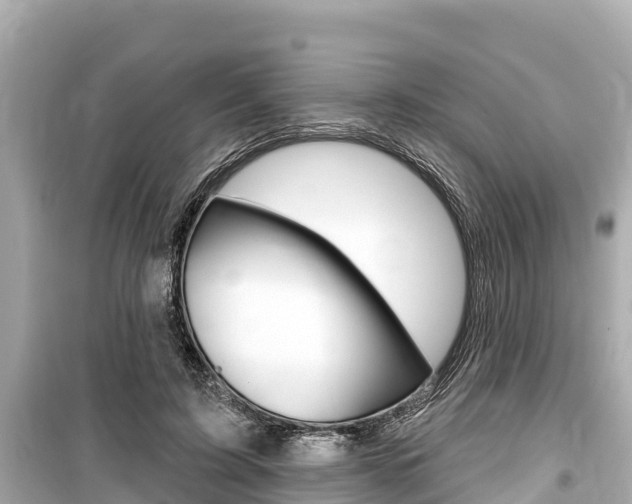 X0000099560595200805160752