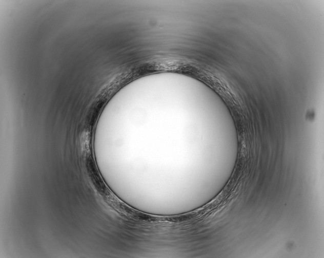 X0000099560598200805160752