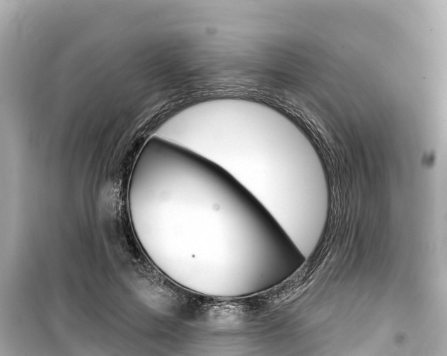 X0000099560599200805160752