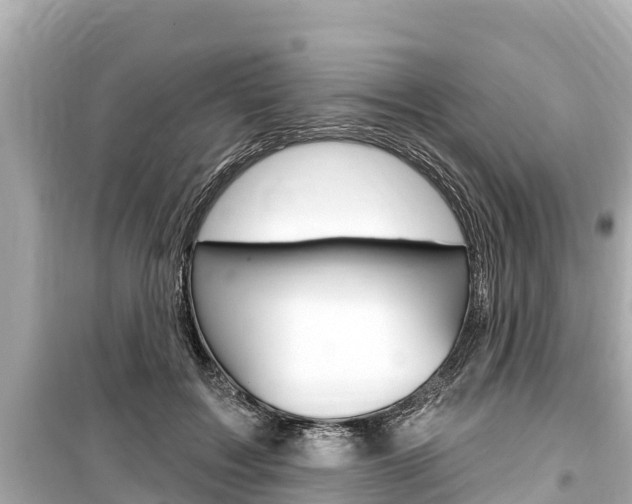 X0000099560603200805160752