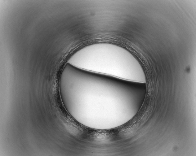 X0000099560604200805160752