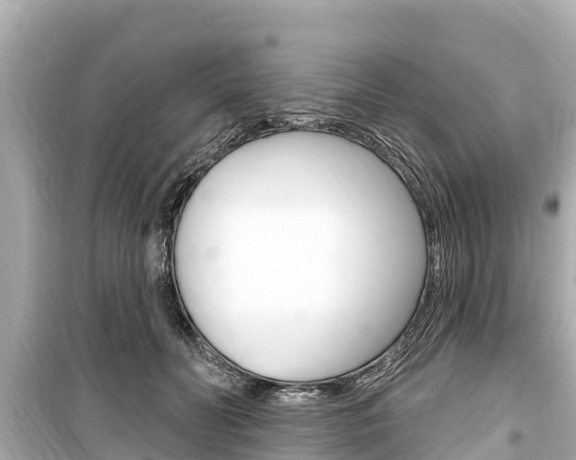 X0000099560606200805160752