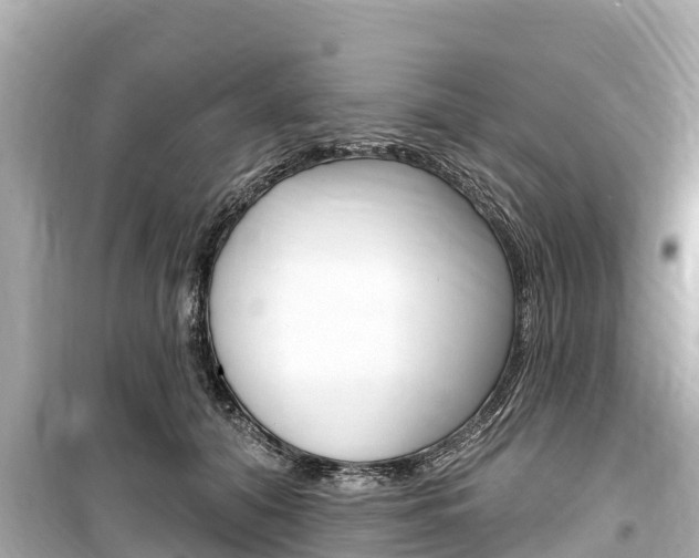 X0000099560608200805160752