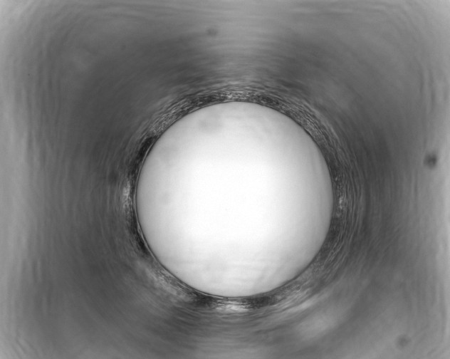 X0000099560610200805160752