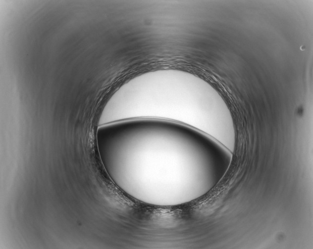 X0000099560613200805160752