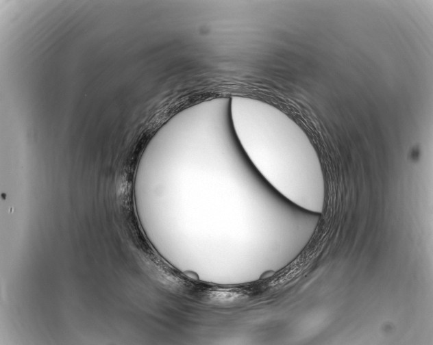 X0000099560614200805160752