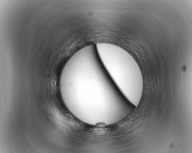 X0000099560615200805160752