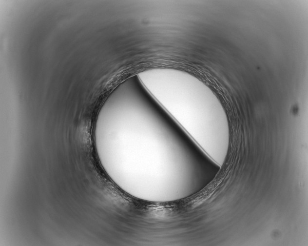 X0000099560616200805160752